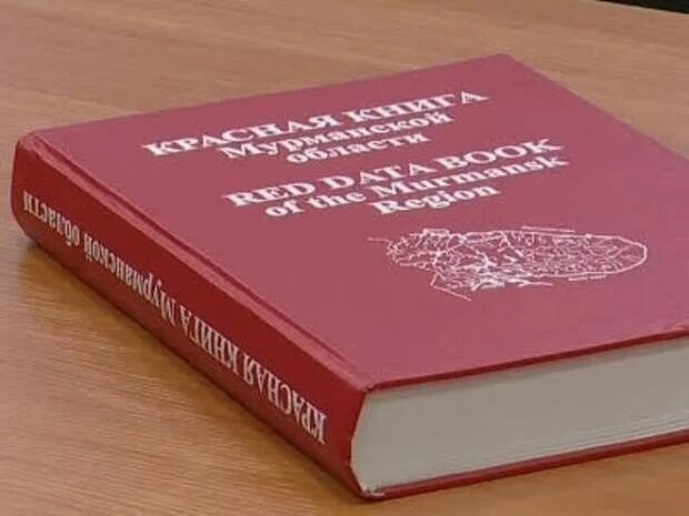 Красная книга мурманской области фото Постановление, регулирующее добычу краснокнижных животных, подписано главой реги