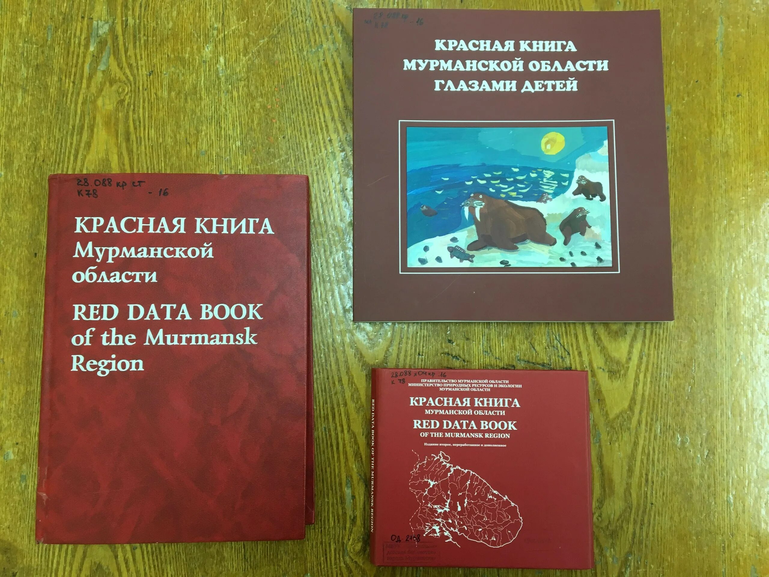 Красная книга мурманской области фото Murmansk Region will issue the updated edition of the Red List by 2024 Regional 