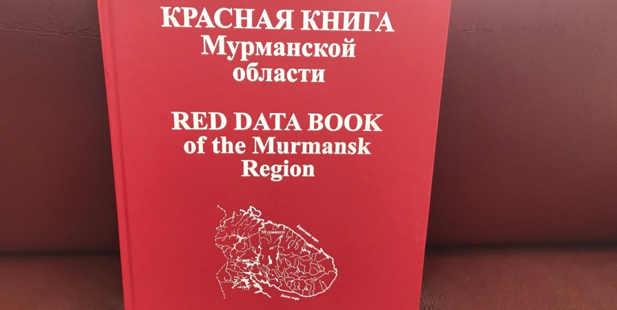 Красная книга мурманской области фото Scientists reconsidered approach and Murmansk Region reduced the main edition of