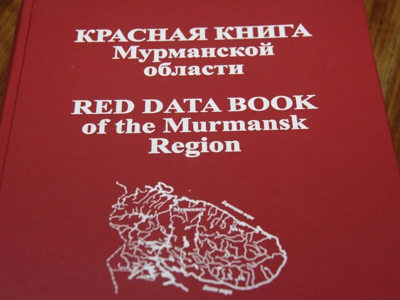 Красная книга мурманской области фото Году экологии посвящен конкурс рисунка "Красная книга Мурманской области глазами