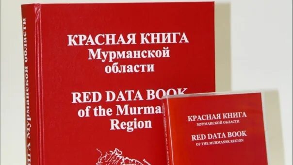 Красная книга мурманской области фото For the publication of the Red Book of the Murmansk region will spend 800 thousa
