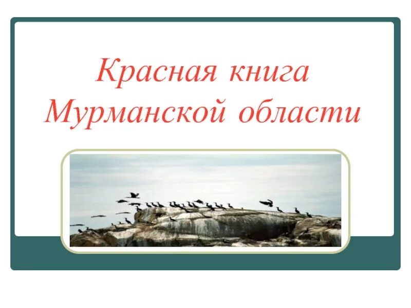 Красная книга мурманской области фото Скачать презентацию на тему Наступила ли пора занести книжные магазины в Красную