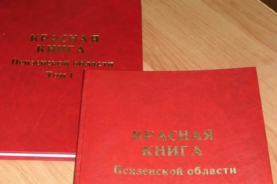 Красная книга пензенской области фото Первый том Красной книги Пензенской области переиздадут в июне 2024 года
