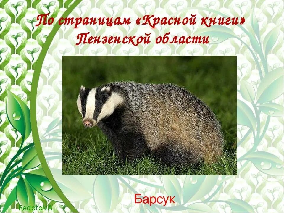 Красная книга пензенской области фото Пензенское животное: найдено 77 изображений