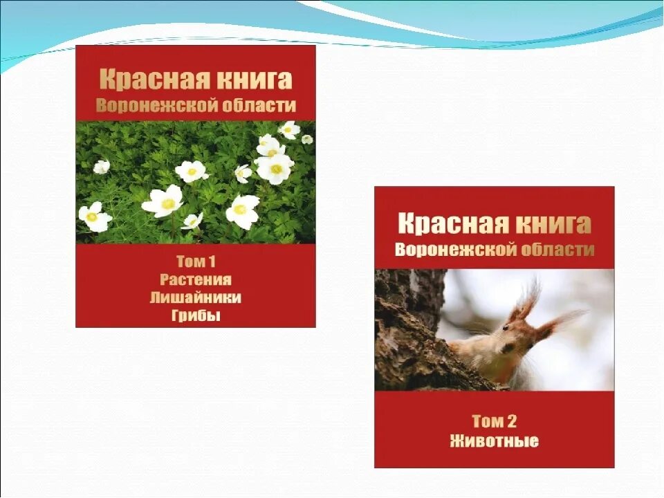 Красная книга подмосковья фото Картинки ЖИВОТНЫЕ ЗАНЕСЕННЫЕ В КРАСНУЮ КНИГУ ВОРОНЕЖСКОЙ