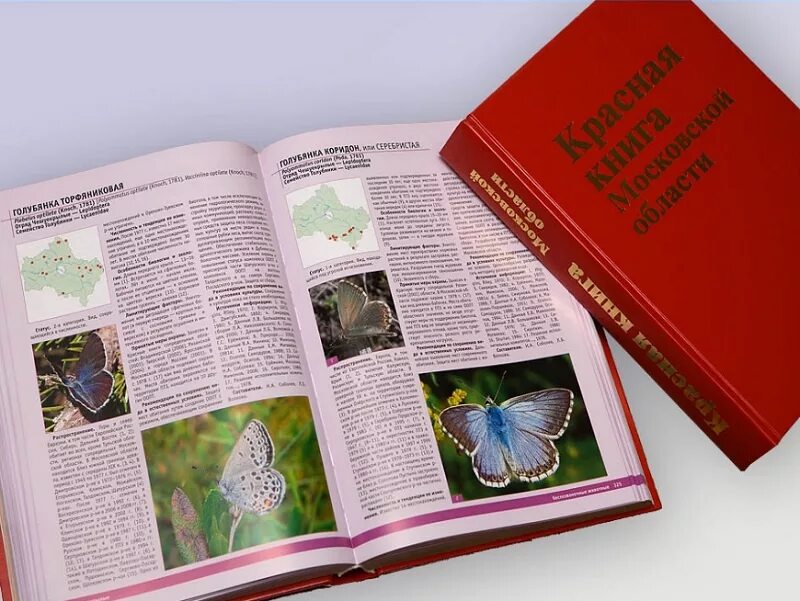 Красная книга подмосковья фото Минэкологии: в Красную книгу Московской области могут включить около 80 новых ви