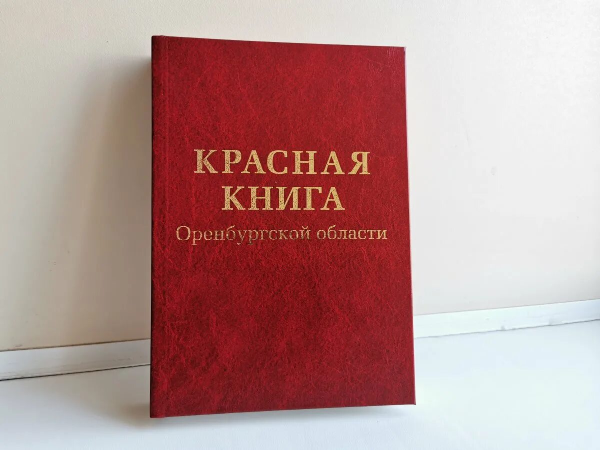 Красная книга подмосковья фото Красная книга Оренбургской области