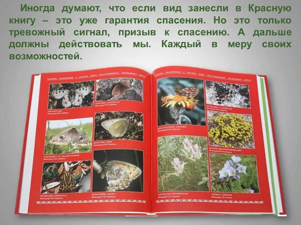 Красная книга подмосковья фото По страницам красной книги 2022, Спасский район - дата и место проведения, прогр