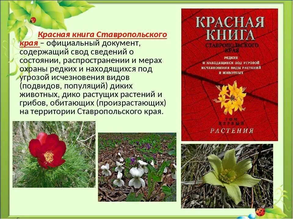 Красная книга растения фото и описание Картинки РАСТЕНИЕ ЗАНЕСЕННОЕ В КРАСНУЮ КНИГУ ОПИСАНИЕ