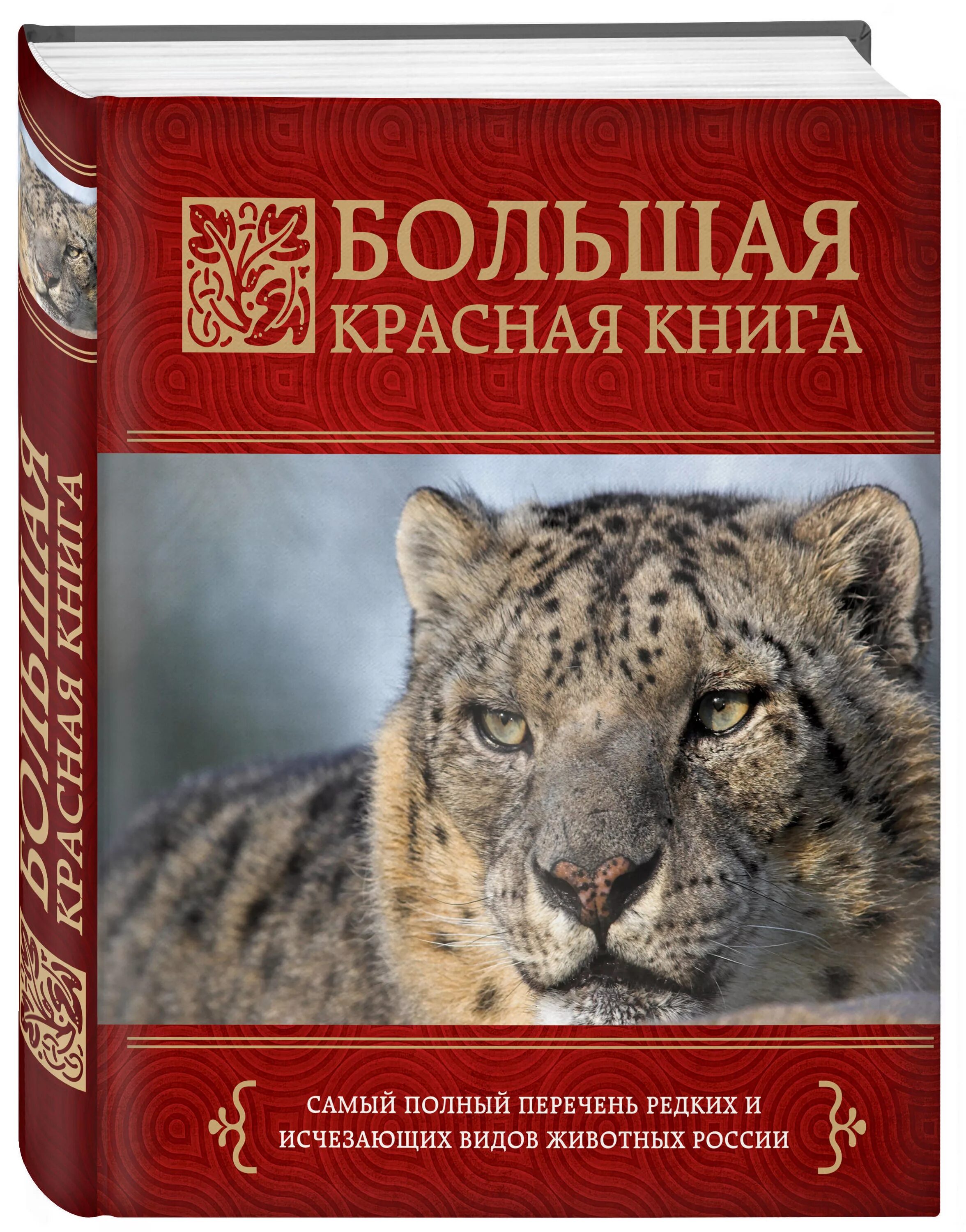 Красная книга россии фото Большая красная книга Скалдина Оксана Валерьевна, Слиж Евгений Александрович - к