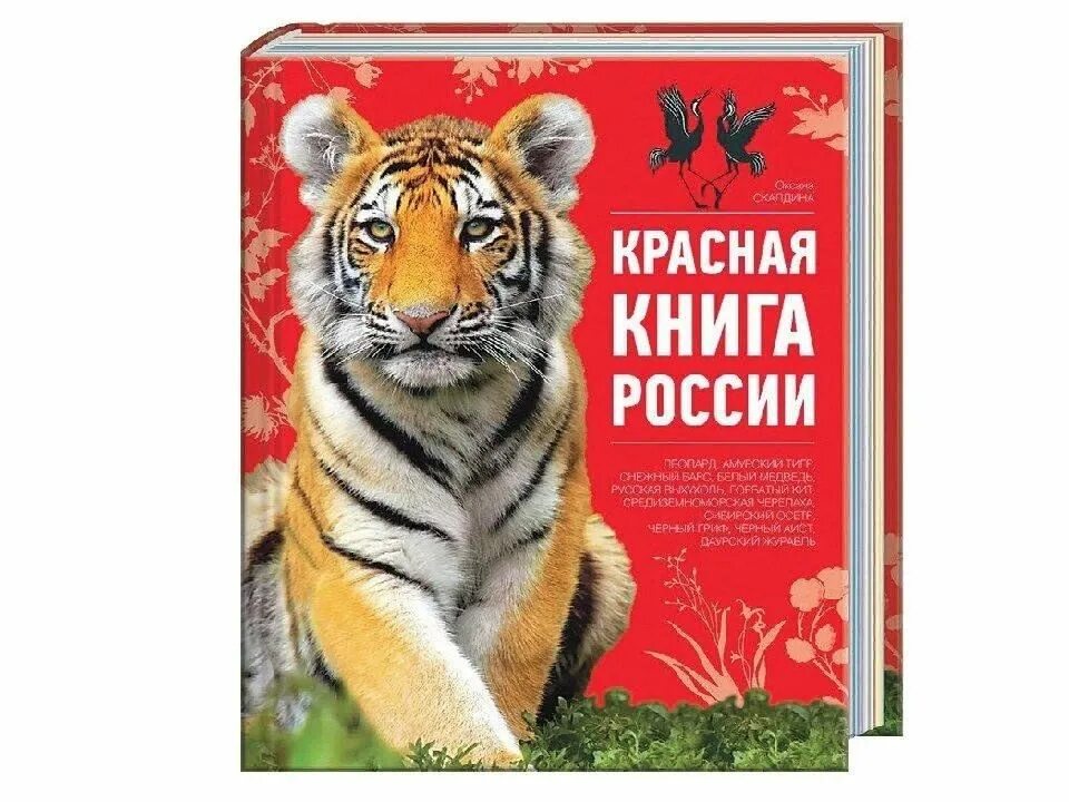 Красная книга россии фото Открывая Красную книгу.": экологический час 2024, Саранск - дата и место проведе