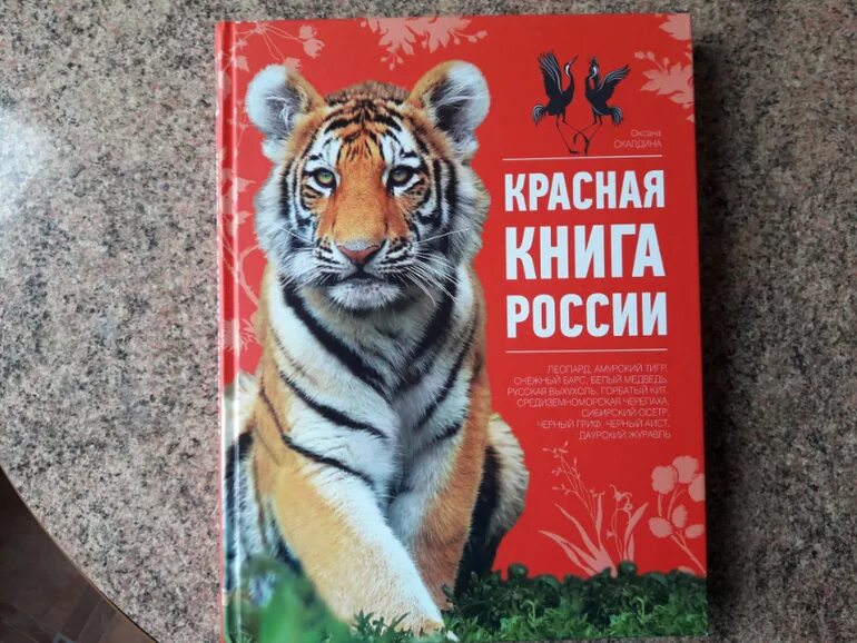Красная книга россии фото Красная книга России - 3 ответов форум Babyblog