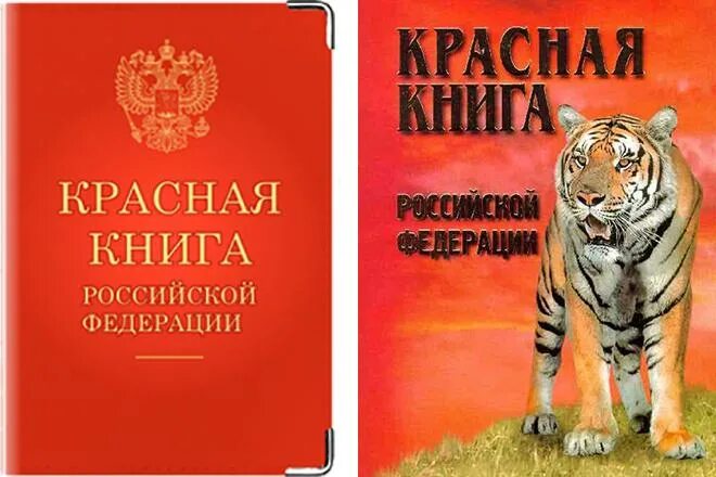 Красная книга россии фото и описание Проектная работа ученика 5 класса на тему "Красная книга -сигнал тревоги"