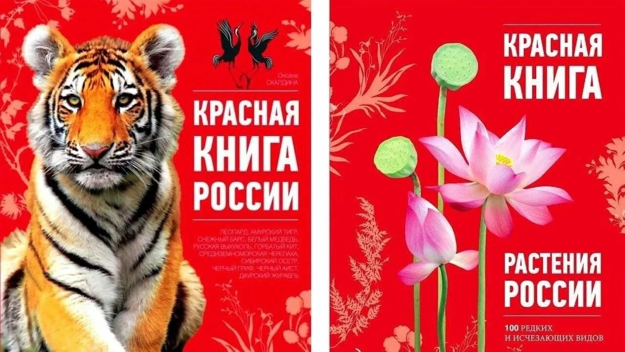 Красная книга россии фото и описание О чем рассказывает Красная книга" 2024, Кушнаренковский район - дата и место про