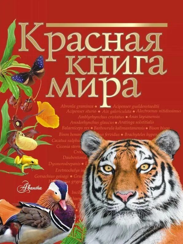Красная книга россии фото обложки Красная книга мира Пескова Ирина Михайловна, Молюков Михаил Игоревич - купить с 