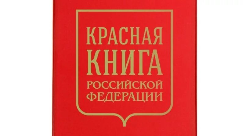 Красная книга россии фото обложки Министерство экологии и природных ресурсов Республики Татарстан