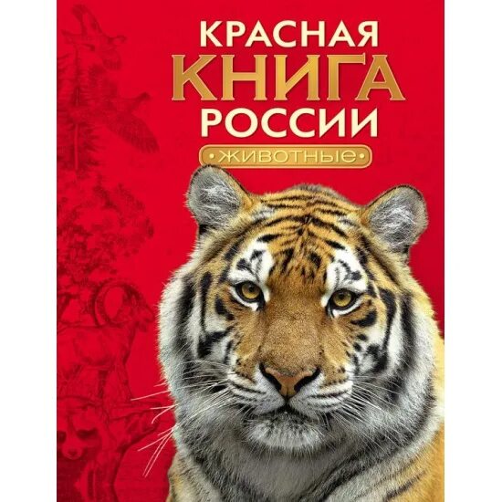 Красная книга россии фото обложки Книга Красная книга России. Животные 9785353075394 - купить по низкой цене в инт