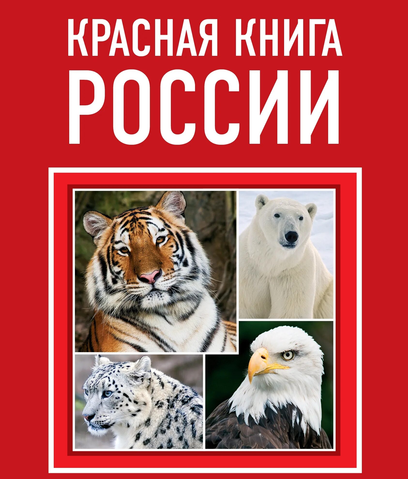 Красная книга россии фото обложки официальная 12 января - День Красной книги России - Государственное автономное учреждение Ре