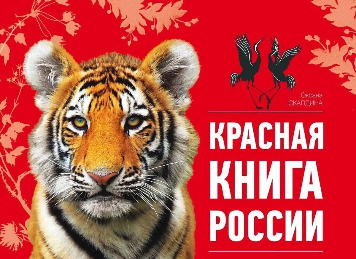 Красная книга россии фото обложки официальная Пусть нам Красная книга расскажет" - эко-час знакомства и работа с Красной книго