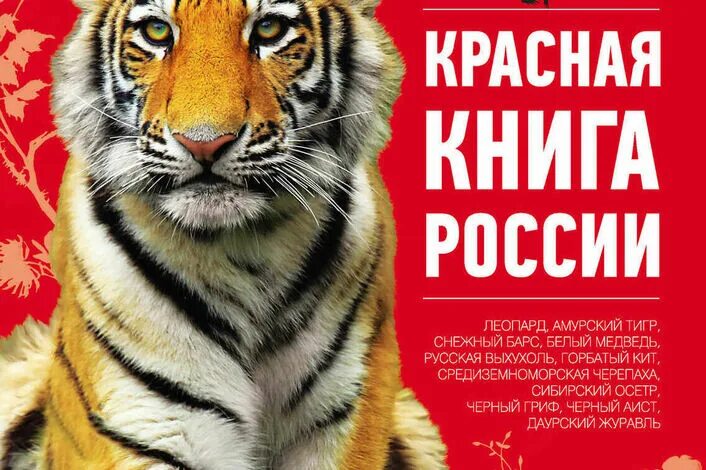 Красная книга россии фото обложки официальная По страницам Красной книги России