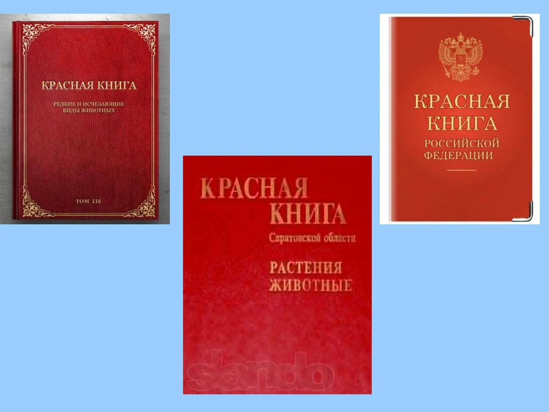 Красная книга россии фото обложки официальная Красная книга каталог: найдено 89 изображений