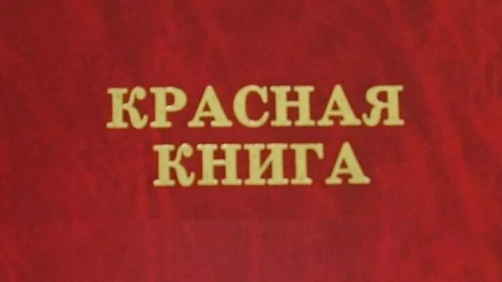 Красная книга россии фото обложки официальная Дом творчества "Детство" г.Сочи Группа на OK.ru Вступай, читай, общайся в Однокл