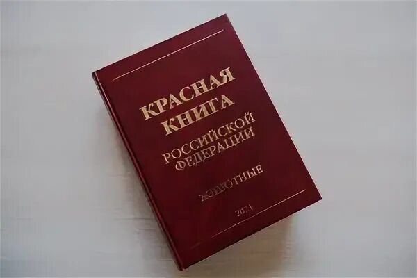 Красная книга россии фото обложки официальная Доступна для скачивания Красная книга России (том "Животные") ИПЭЭ РАН