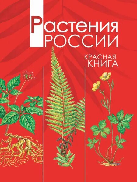 Красная книга россии растения фото Растения России. Красная книга - купить с доставкой по выгодным ценам в интернет