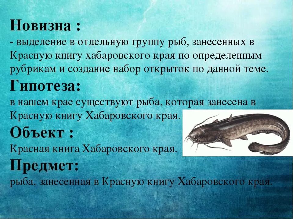 Красная книга россии рыбы фото Рыбы красной книги казахстана