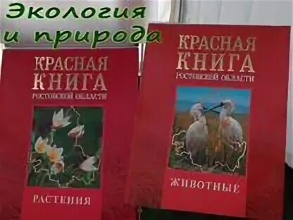Красная книга ростовской области фото красная книга - Авито Объявления в России: недвижимость, транспорт, работа, услу