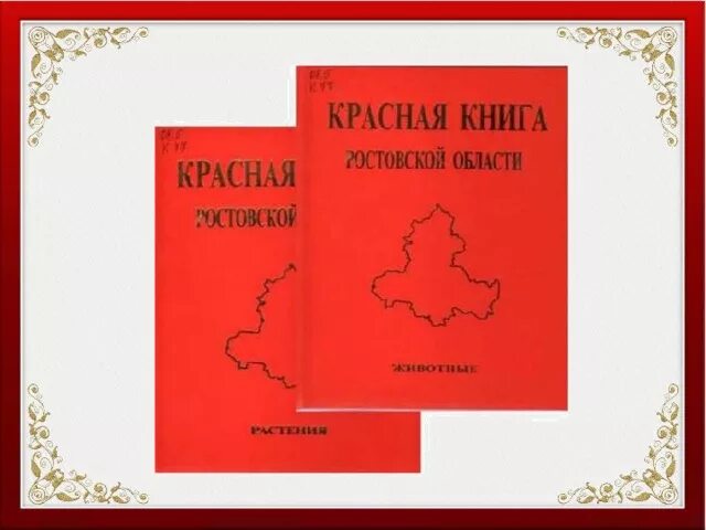 Красная книга ростовской области фото Красная книга ростовской области картинки