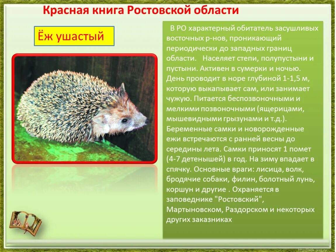 Красная книга ростовской области фото Презентация на тему "Красная книга Ростовской области"