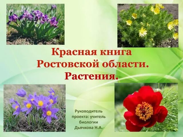 Красная книга ростовской области растения фото Презентация красная книга ростовской области животные фото и описание - Азимут Т