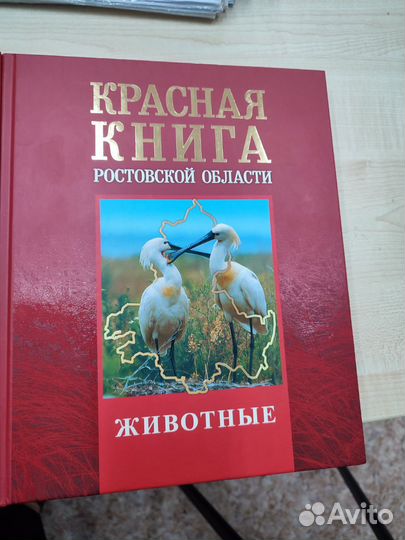 Красная книга ростовской области животные фото Животные Красной Книги Ростовской Области для 3 Класса: Фото и Описание Планета 