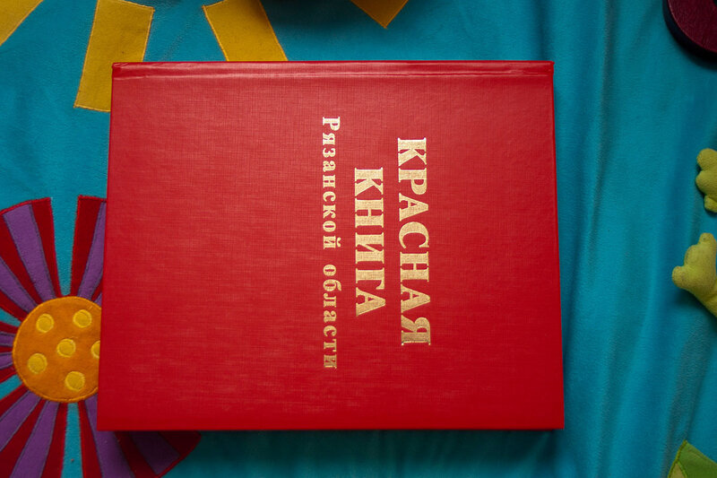 Красная книга рязанской области фото Красная книга Рязанской области - МедиаРязань