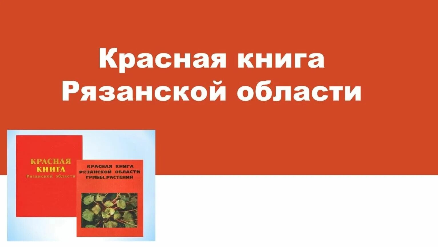 Красная книга рязанской области фото Познавательный час "Путешествие по страницам Красной Книги". 2023, Скопинский ра