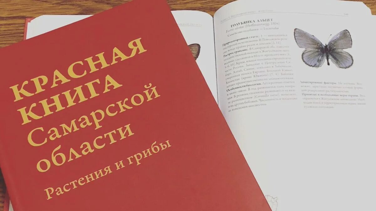 Красная книга самарской области фото МБОУ Школа № 114 г.о. Самара @114schoolsamara - Twitter Profile Sotwe