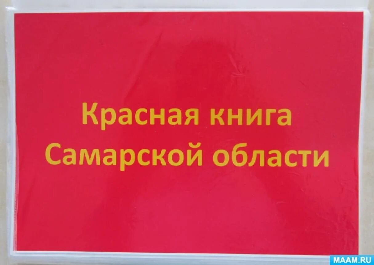 Красная книга самарской области фото Экология, экологическое воспитание, природа - Фотоотчёты - Страница 388. Воспита