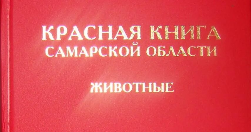 Красная книга самарской области фото Фото из красной книги самарской области и описание - Onnyx.ru