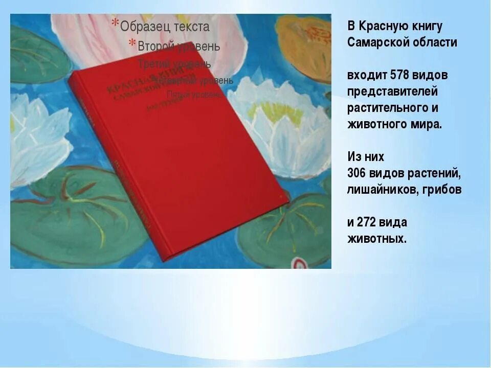 Красная книга самарской области фото Презентация на тему красная книга самарской области