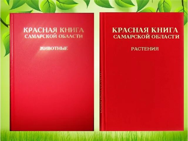 Красная книга самарской области фото Окружающая среда - Внеурочка - Презентации