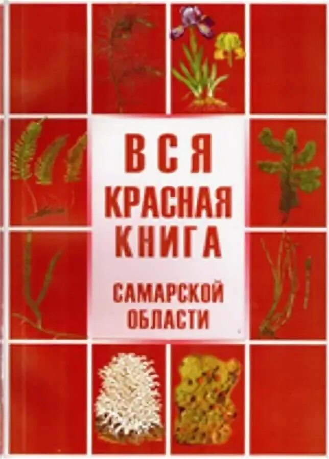 Красная книга самарской области фото Флешмоб "Красная книга"- красная! Альбом мероприятия - 2 фотографии ВКонтакте