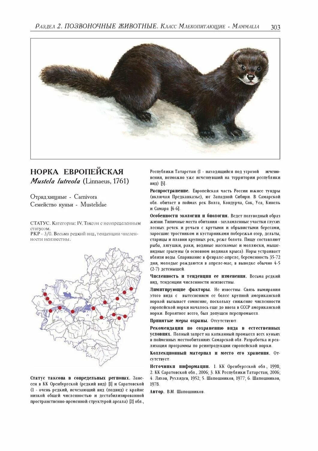 Красная книга самарской области фото Животные и растения красной книги самарской: найдено 85 изображений