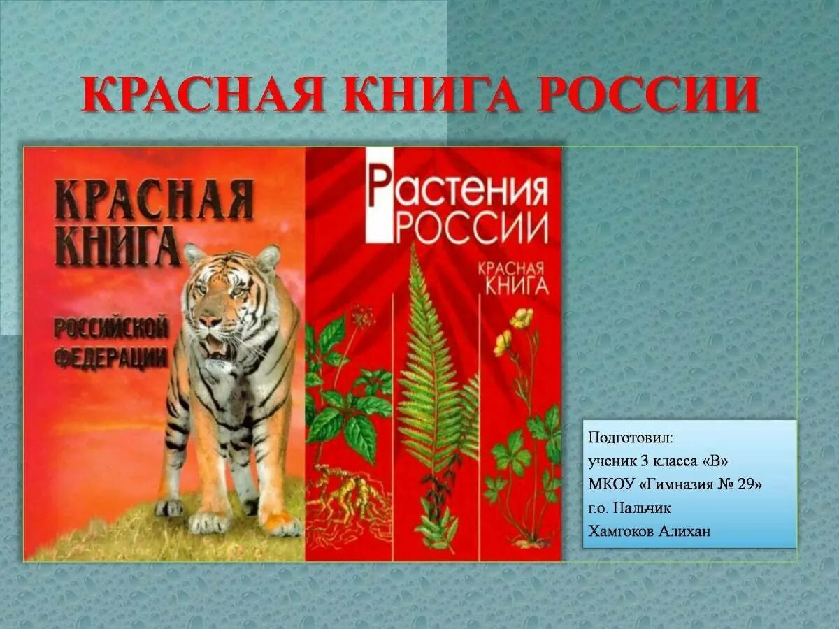 Красная книга список и фото Картинки Красная книга россии (39 шт.) - #8130