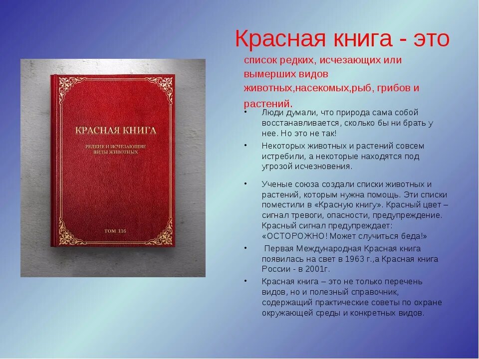 Красная книга список и фото Красная книга начал