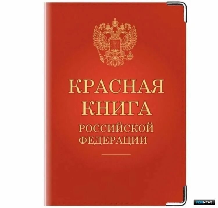 Красная книга список и фото По страницам Красной книги 2022, Нижняя Салда - дата и место проведения, програм