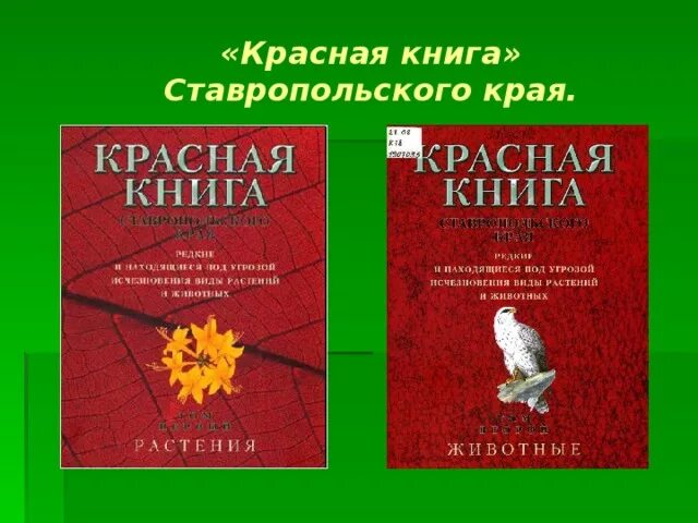 Красная книга ставропольского края фото Методическая разработка "Году экологии посвящается." КТД "Красная Книга глазами 