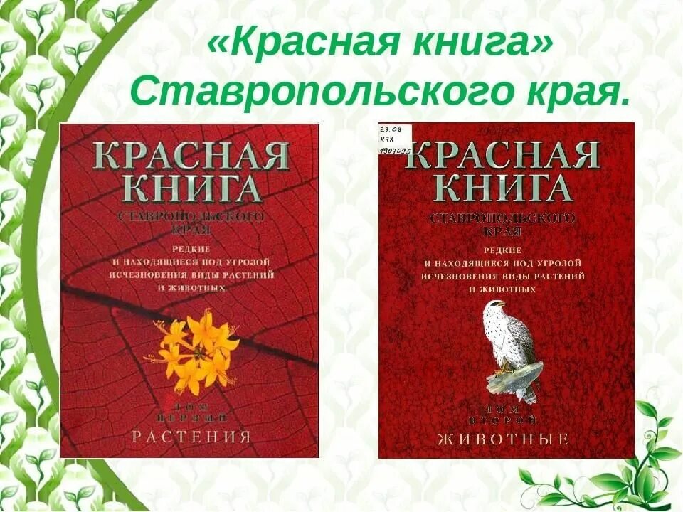 Красная книга ставропольского края фото Экологический час "Путешествие по страницам Красной Книги" 2022, Курский район -