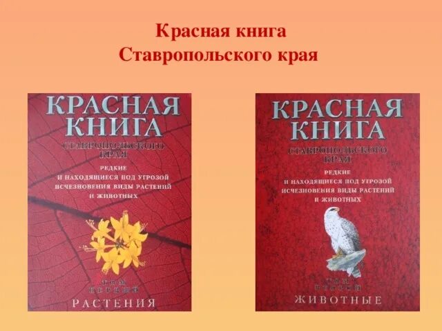 Красная книга ставропольского края фото Презентация,посвященная году экологии "Мир, в котором я живу" - внеурочная работ
