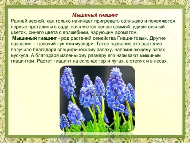 Красная книга ставропольского края растения фото красная книга Ставропольского края